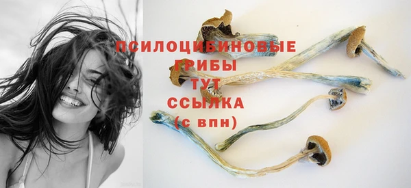 кокс Баксан