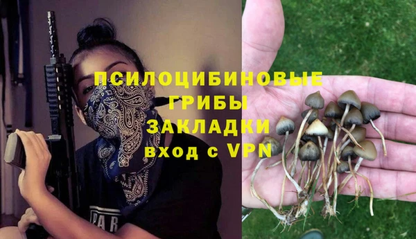 кокс Баксан