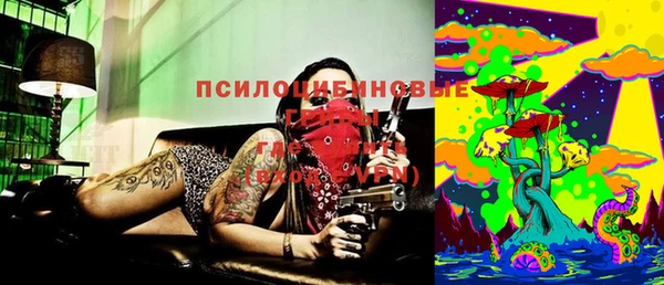 кокс Баксан