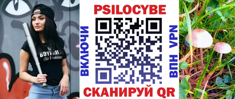 Галлюциногенные грибы MAGIC MUSHROOMS купить закладку Новый Оскол